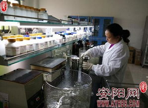 河南金百合 以微觀世界探秘驅動生物科技創新，開拓市場營銷新藍海